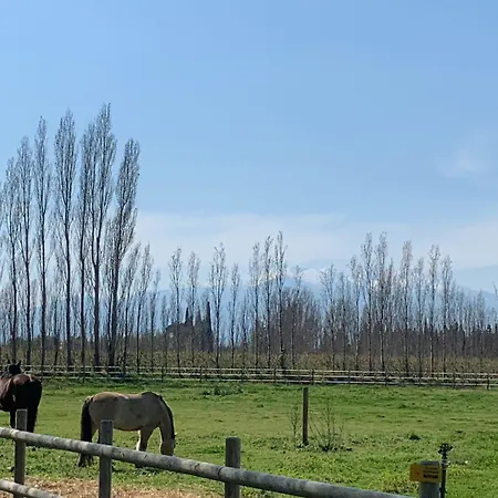 Du Castell De Bles 펜션 Saint-Génis