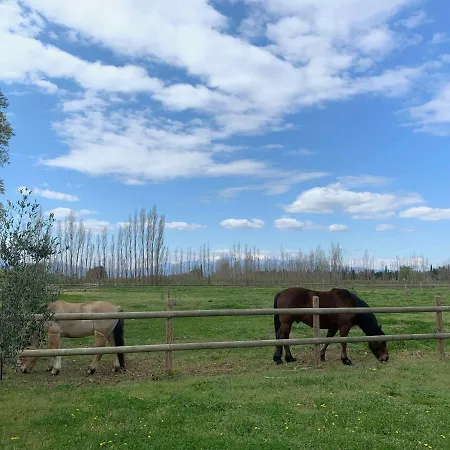 Holiday home Du Castell De Bles